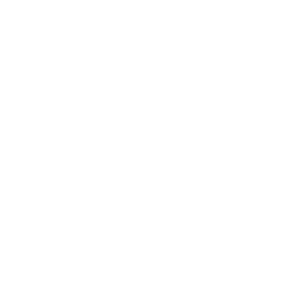 dashmind-footer-logo